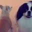 Reprodução/RedesSociais