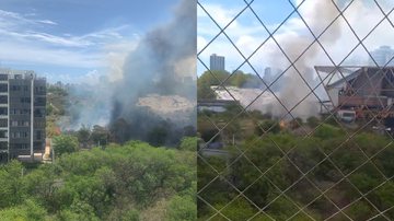 Reprodução/ Redes Sociais