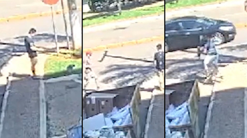 Reprodução / Montagem BNews