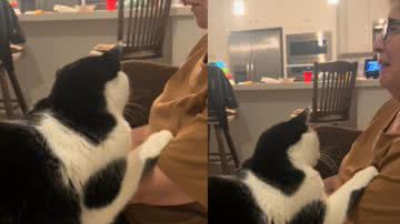 Reprodução/ TikTok