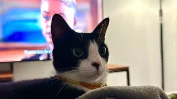 Ivan Inácio/Arquivo pessoal