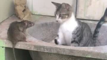 Reprodução/RedesSociais