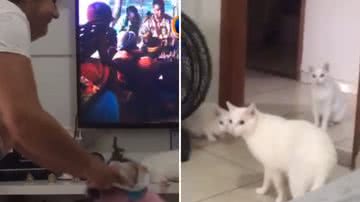 Reprodução / Redes sociais
