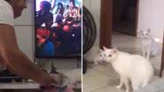 Reprodução / Redes sociais