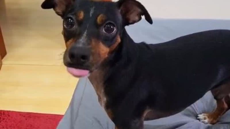 Reprodução/RedesSociais