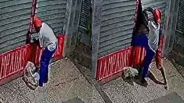 Leitor BNews