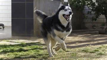 Reprodução/RedesSociais