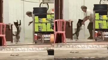 Reprodução/TikTok @oliviamacaca