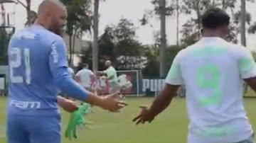 Reprodução/TV Palmeiras