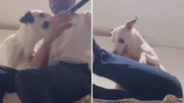 Reprodução / Redes sociais