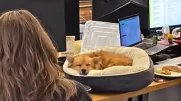 Reprodução / Redes Sociais