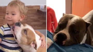 Reprodução / Redes Sociais