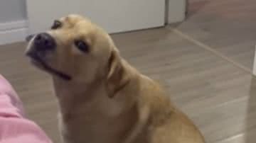 Reprodução / Redes Sociais