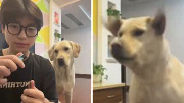 Reprodução / Redes Sociais