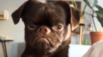 Reprodução / Redes Sociais