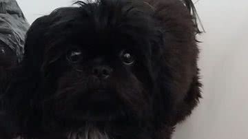 Reprodução / Arquivo Pessoal / Beatriz Adamoli