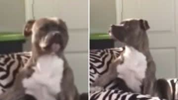 Reprodução / Redes Sociais