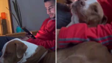 Reprodução / Redes Sociais