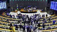 Zeca Ribeiro / Câmara dos Deputados
