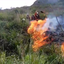 Divulgação/Corpo de Bombeiros