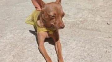 Reprodução/RedesSociais