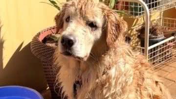 Reprodução/RedesSociais