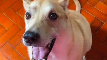 Reprodução/RedesSociais