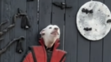 Reprodução / Redes Sociais