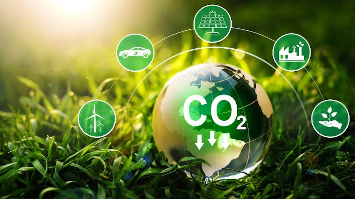 Projeto que regulamenta o mercado de carbono é aprovado na Câmara; veja regras