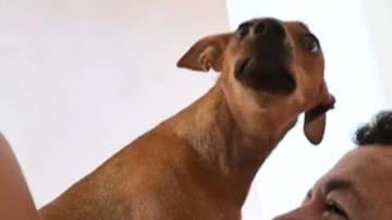 Reprodução/RedesSociais