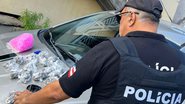 Divulgação/Polícia Civil