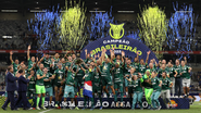 Cesar Greco/Palmeiras