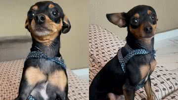 Reprodução/TikTok @anacarolindaac