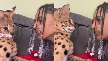 Reprodução/X @diretodomiolo