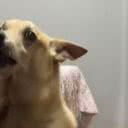 Reprodução/RedesSociais
