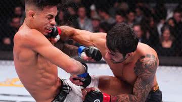 Brasileiro teve maior domínio e levou a melhor contra o americano Brandon Royval - Reprodução | Twitter | UFC