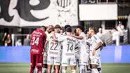 Raul Baretta/ Santos FC
