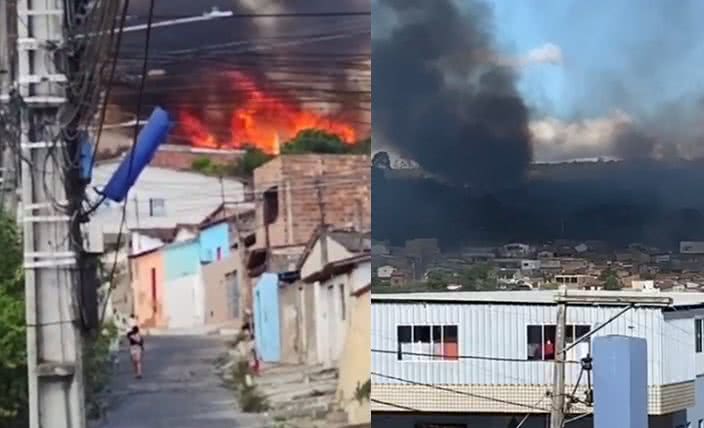 Reprodução/Vídeo