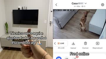 Reprodução/TikTok @gabyduartem_