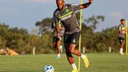 Divulgação/AssCom Dourado
