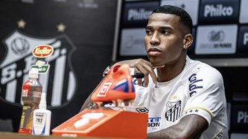 Raul Baretta/Santos FC