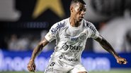 Raul Baretta / Santos