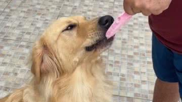 Reprodução/RedesSociais