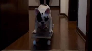 Reprodução/RedesSociais