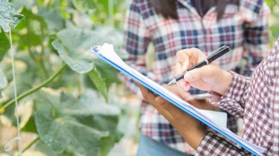 Divulgação / Freepik