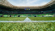 Divulgação / Allianz Parque