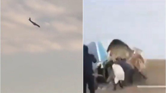 Reprodução l Redes Sociais