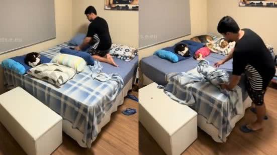 Reprodução// TikTok @petseeu