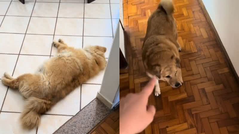 Reprodução// TikTok @isaabela.mendes