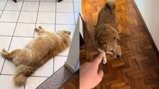 Reprodução// TikTok @isaabela.mendes